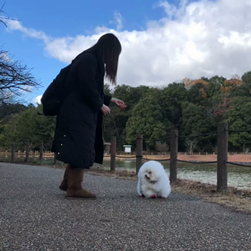まだまだ歩くよの画像