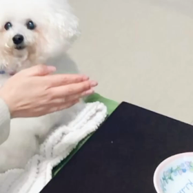 ふくろうアーニーさんの画像