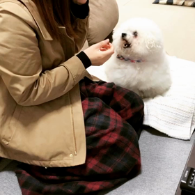 確かに重いの画像
