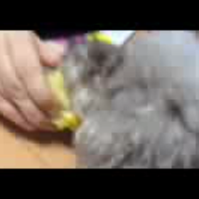マロ怪獣(;゜0゜)の画像