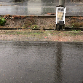 カミナリの画像