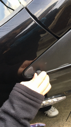 久しぶりの洗車  ワックス掛け 庭の手入れの記事動画
