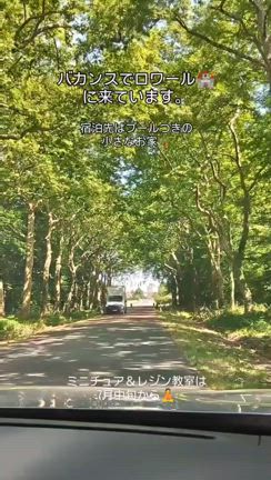 ロワールへドライブ★プール付きお家を借りて、お城3ヶ所とフランス最大の動物園へ行く♪の記事動画