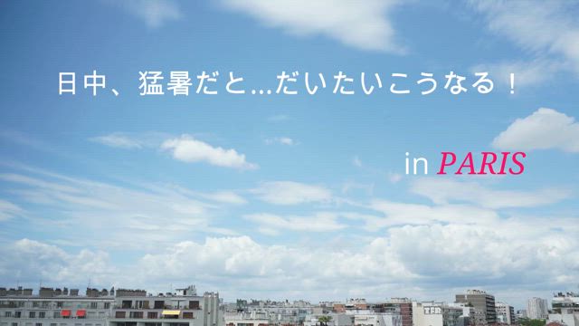 【今日のパリ＆雷動画】猛暑の日はだいたいこうなる…！あちこちで木が折れたらしいの記事動画