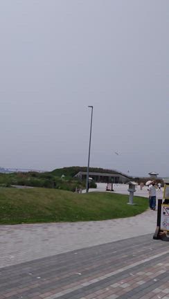 八戸といえばここは外せない『蕪島』。ミャーミャーと鳴くウミネコ＆神社＆海水浴場の記事動画