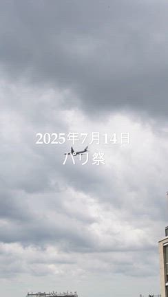 【今日のパリ】14日の予行練習だった！飛行機の大行列に少々興奮して見入ってしまった♪の記事動画