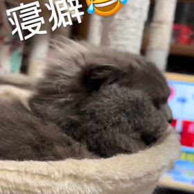 2024/05/30の画像