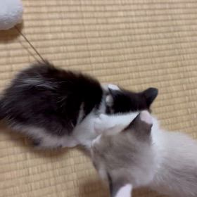 2024/05/17の画像