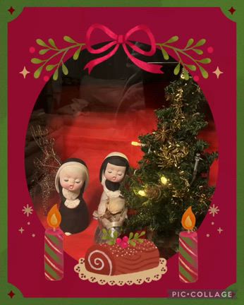 クリスマス飾りは猫との闘い！？の記事動画