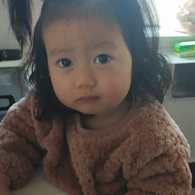 2024/01/09の画像