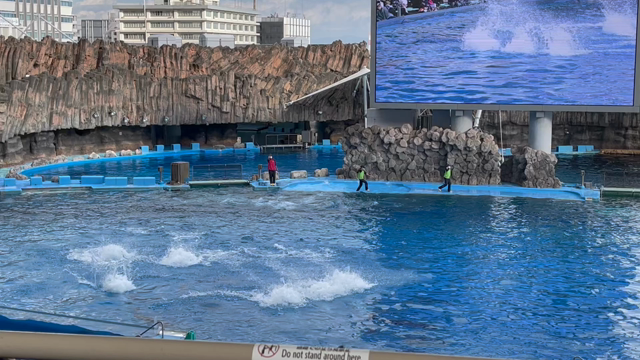 名古屋港水族館の記事動画