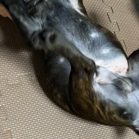 くっさ！の画像