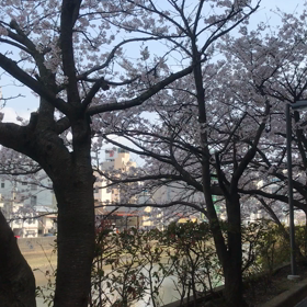 ちはやふるー結びー。の画像