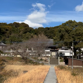 2023.1.3の画像