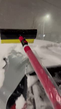 雪だよりの記事動画