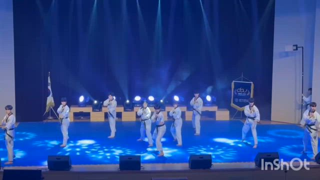 韓国での文化　テコンドーのショーの記事動画