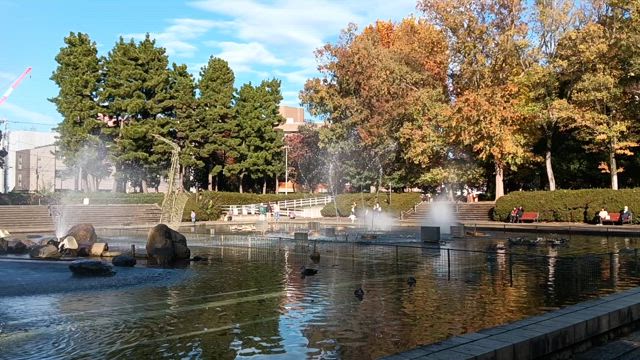秋を感じに、大きな公園への記事動画