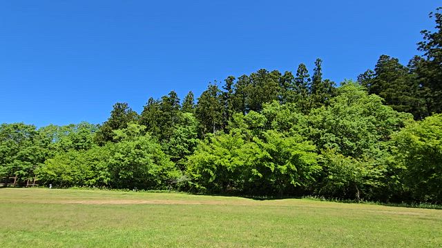 良く晴れた日曜日、新緑の公園での記事動画