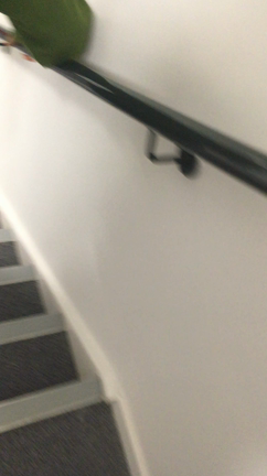 頑張れ自分の記事動画