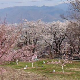 明日は・・の画像