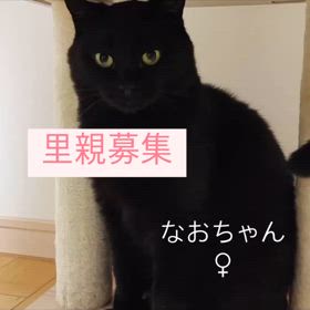 群馬県よりの画像