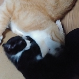 2022/10/19の画像