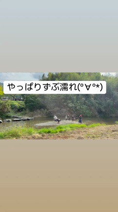 芋堀体験に行ってきましたの記事動画