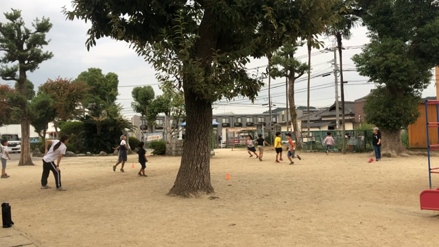 今年は昨年よりも早いですの記事動画