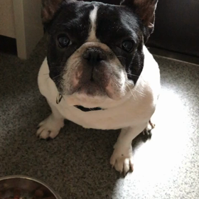 ご飯タイムの画像
