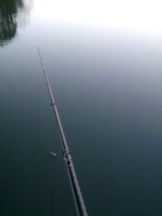 フィールドテストの記事動画