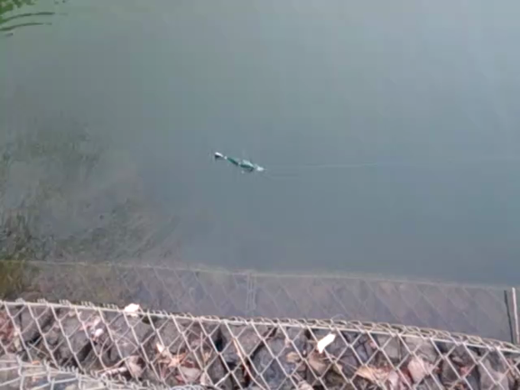 赴くままに、、 動画追加しましたの記事動画