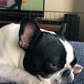 それ楽しいの？の画像