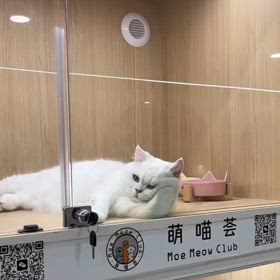 時差ぼけみたいwの画像