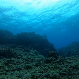 海の中の隙間の画像