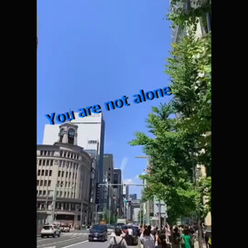 ブルーインパルスの画像