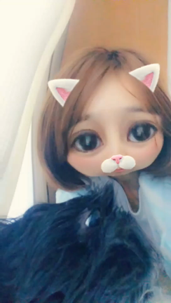デジャブの記事動画