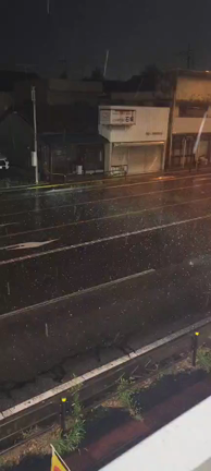 ヒョウヒョウヒョウの記事動画