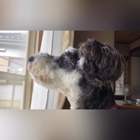 一週間の始まりの画像