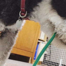 紐クチャクチャの画像