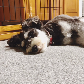 おかえりー！おやすみー！の画像