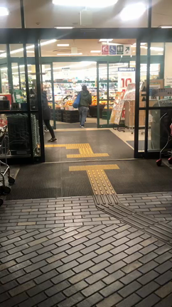 なすの冒険の記事動画
