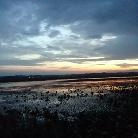 夕暮れの伊豆沼の  画像