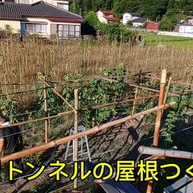 2026/09/01の画像