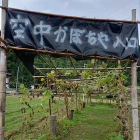 2026/10/26の画像