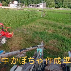 2026/07/10の画像