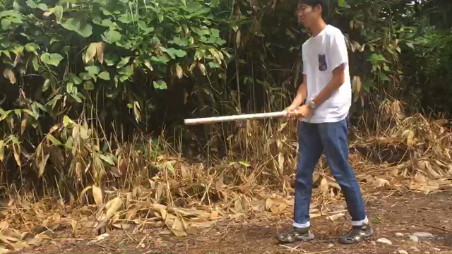 学年合宿の記事動画