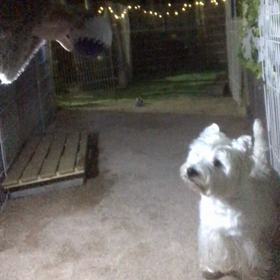 夜遊びついでに。。の画像