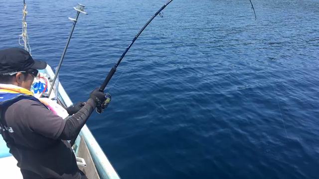 またまた怠けた(^o^;)の記事動画