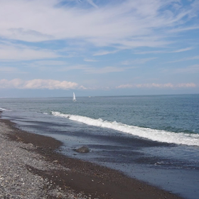 三保海岸でビーチコーミングの画像