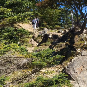 吉野の山々は神秘的だの画像